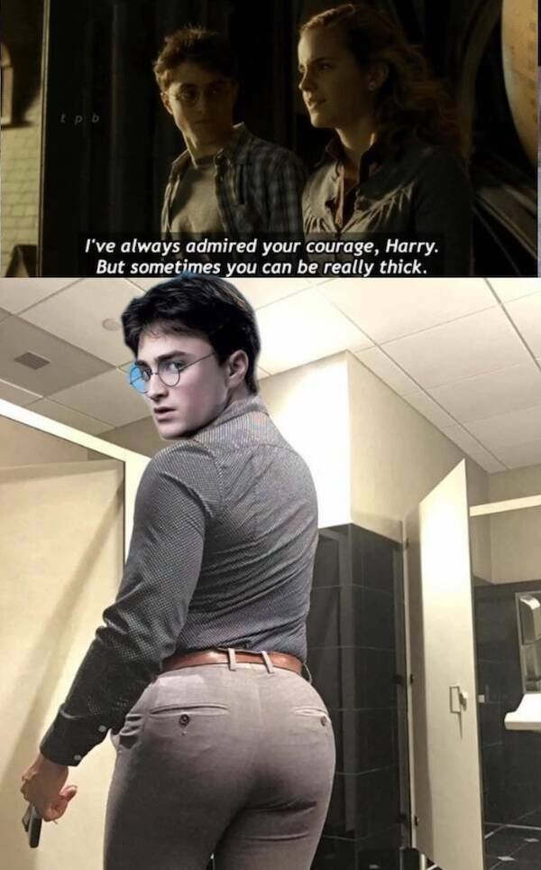 Memes For ''Harry Potter'' Fans (26 pics)
