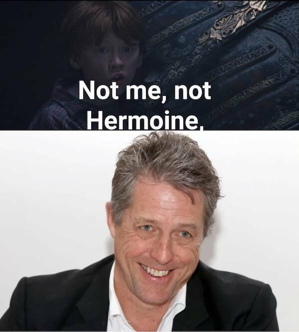 Memes For ''Harry Potter'' Fans (26 pics)