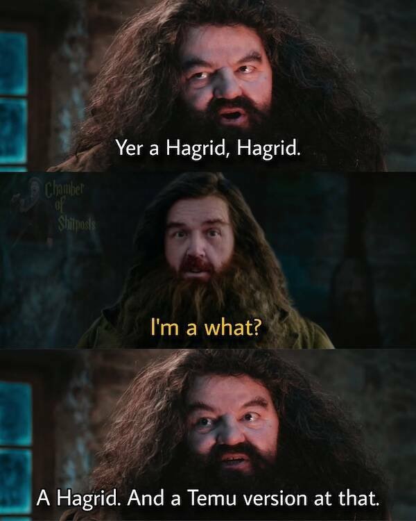 Memes For ''Harry Potter'' Fans (26 pics)