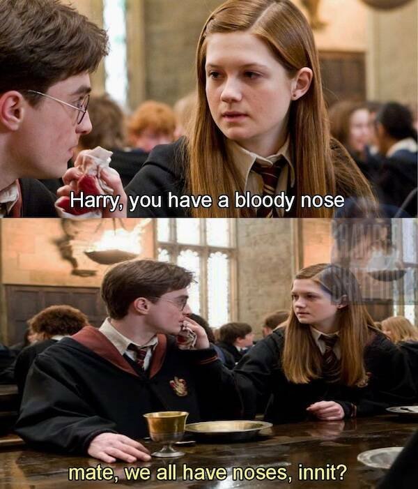 Memes For ''Harry Potter'' Fans (26 pics)