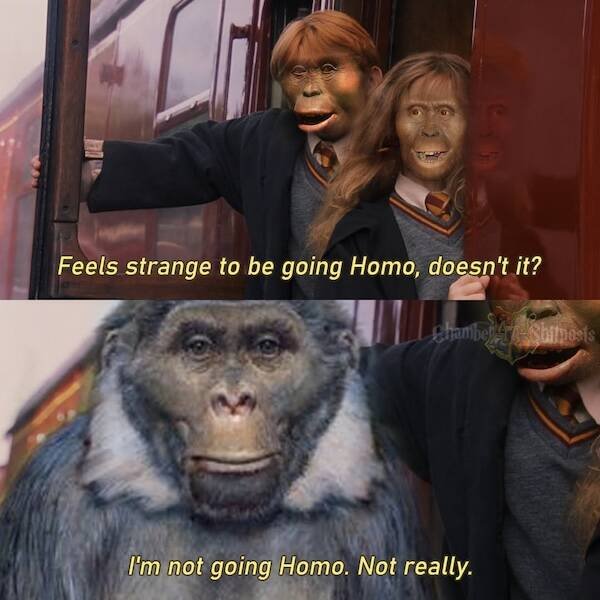 Memes For ''Harry Potter'' Fans (26 pics)