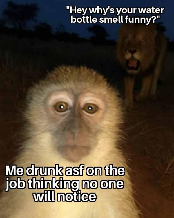 Funny Memes (24 pics)
