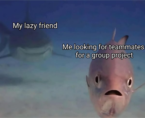 Funny Memes (24 pics)