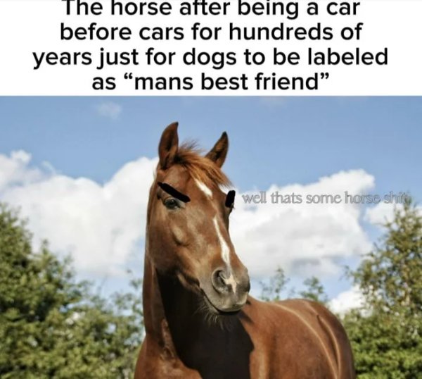 Funny Memes (24 pics)