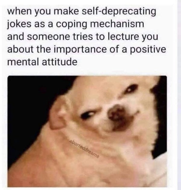 Funny Memes (24 pics)