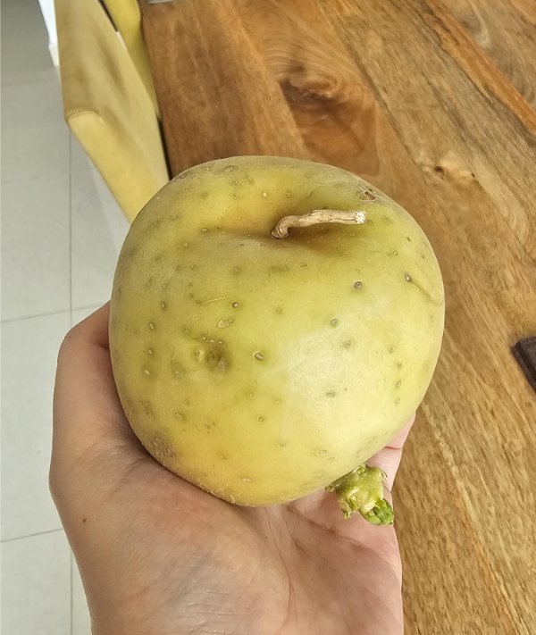 Interesting Finds (24 pics)