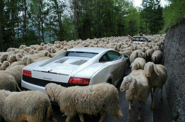 What Is Going On Here? (20 pics)