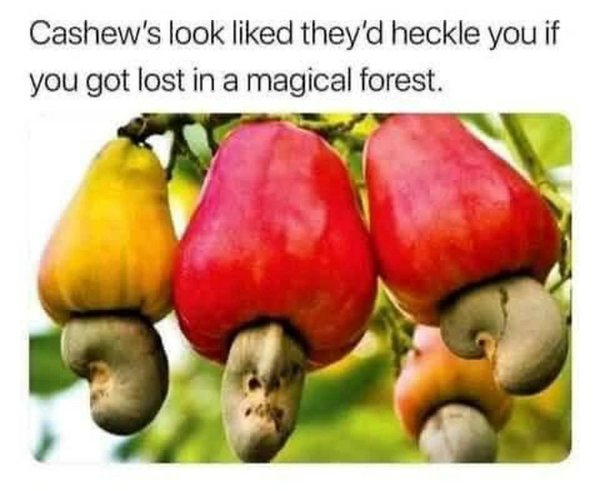 Funny Memes (24 pics)