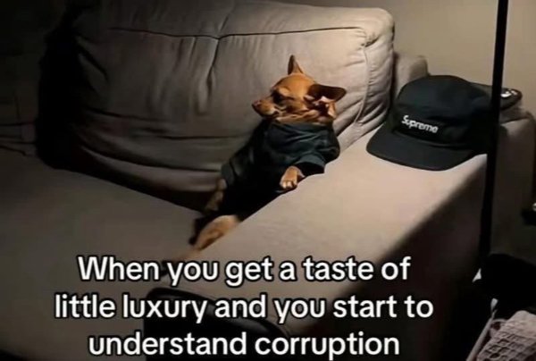 Funny Memes (24 pics)