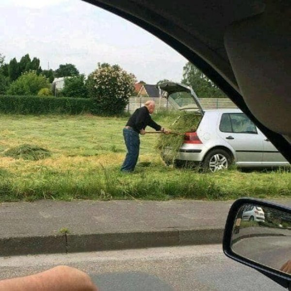 What Is Going On Here? (20 pics)
