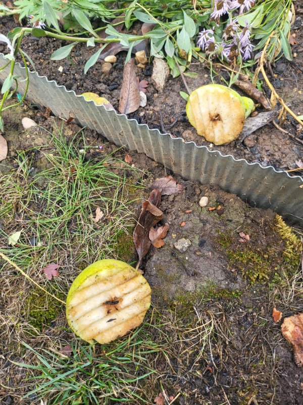 Interesting Finds (24 pics)