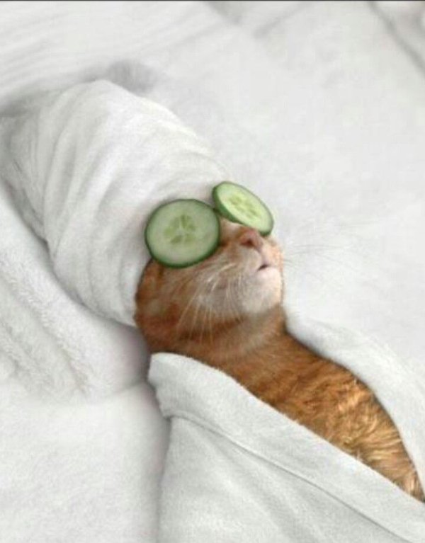 Positive Posts For Good Mood (26 pics)