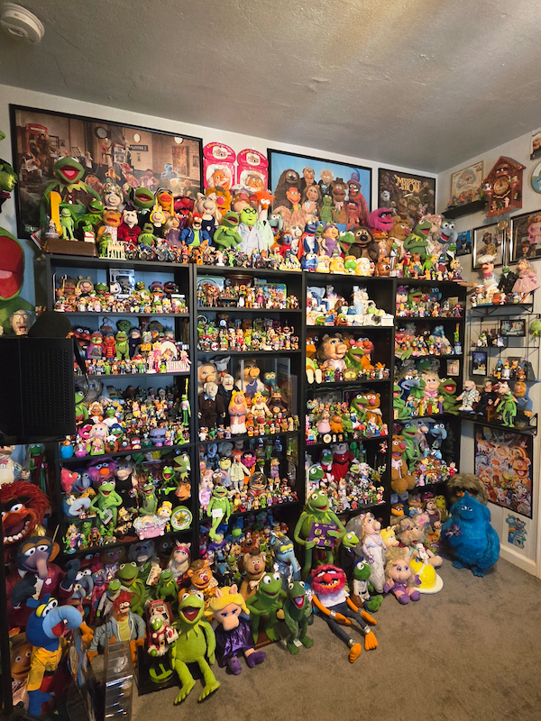 Cool Collections (22 pics)