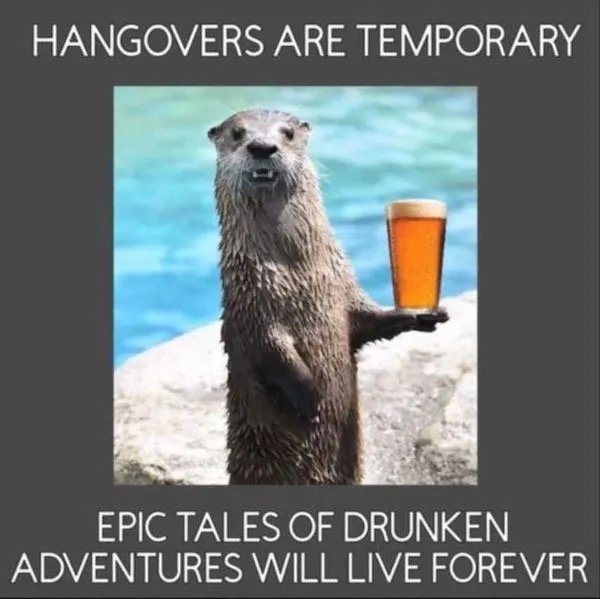 Funny Memes (30 pics)