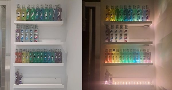 Cool Collections (22 pics)
