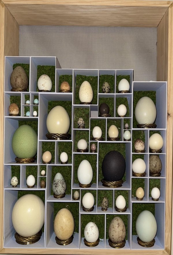Cool Collections (22 pics)