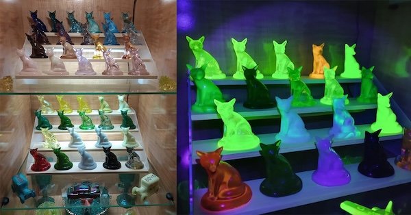 Cool Collections (22 pics)