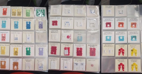 Cool Collections (22 pics)