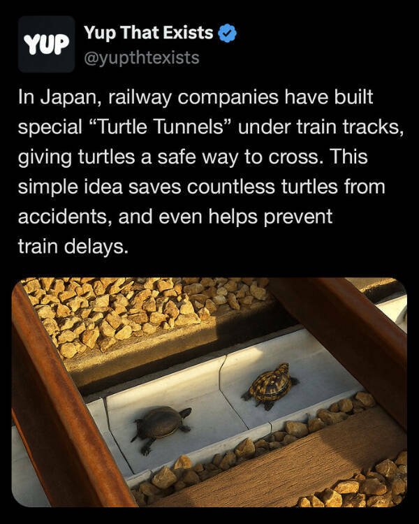 Interesting Facts (25 pics)