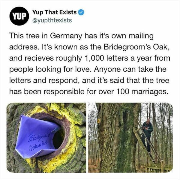 Interesting Facts (25 pics)