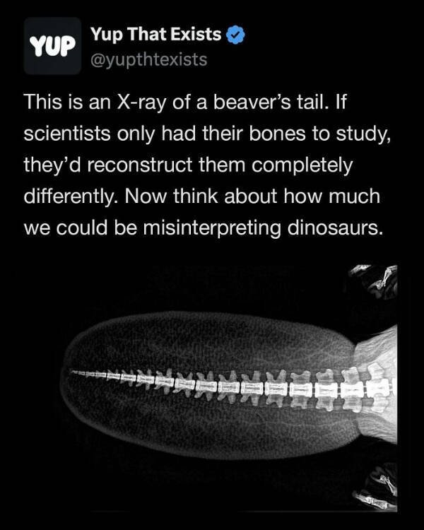 Interesting Facts (25 pics)