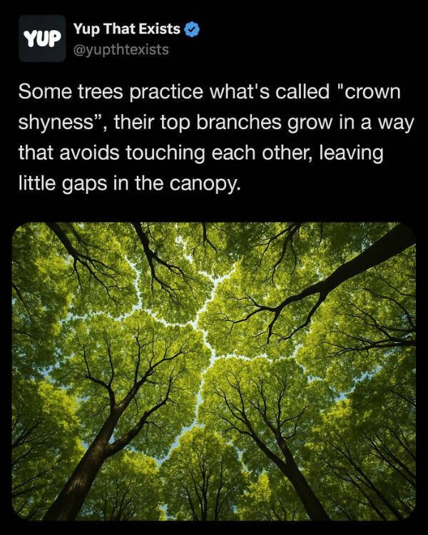 Interesting Facts (25 pics)