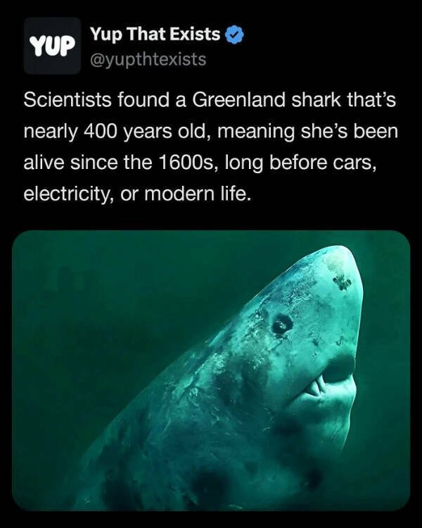 Interesting Facts (25 pics)