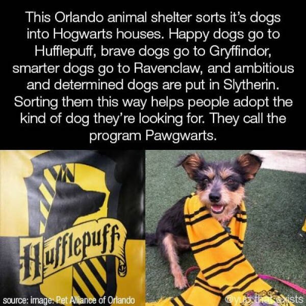 Interesting Facts (25 pics)