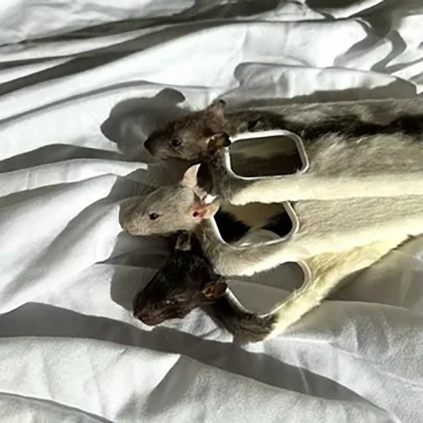 Really Strange Designs (23 pics)