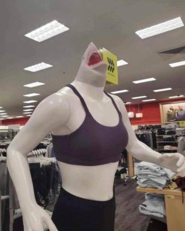 What Is Going On Here? (39 pics)