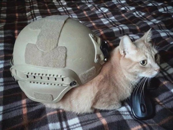 What Is Going On Here? (39 pics)