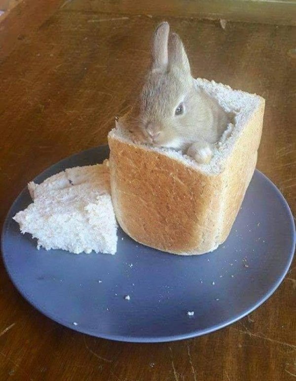 What Is Going On Here? (39 pics)