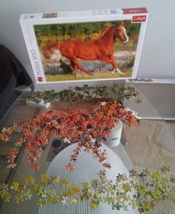 What Is Going On Here? (39 pics)