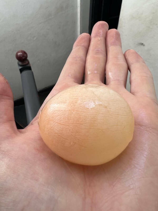 Interesting Finds (28 pics)