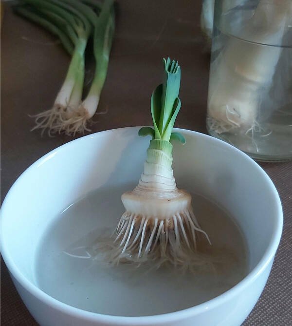 Interesting Finds (28 pics)