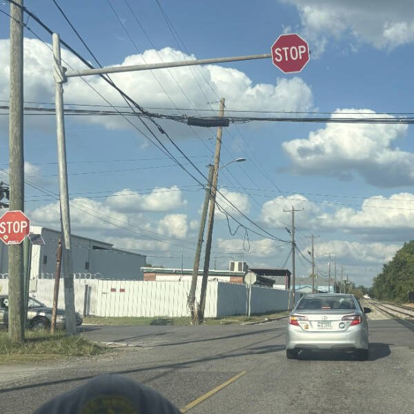 Interesting Finds (28 pics)