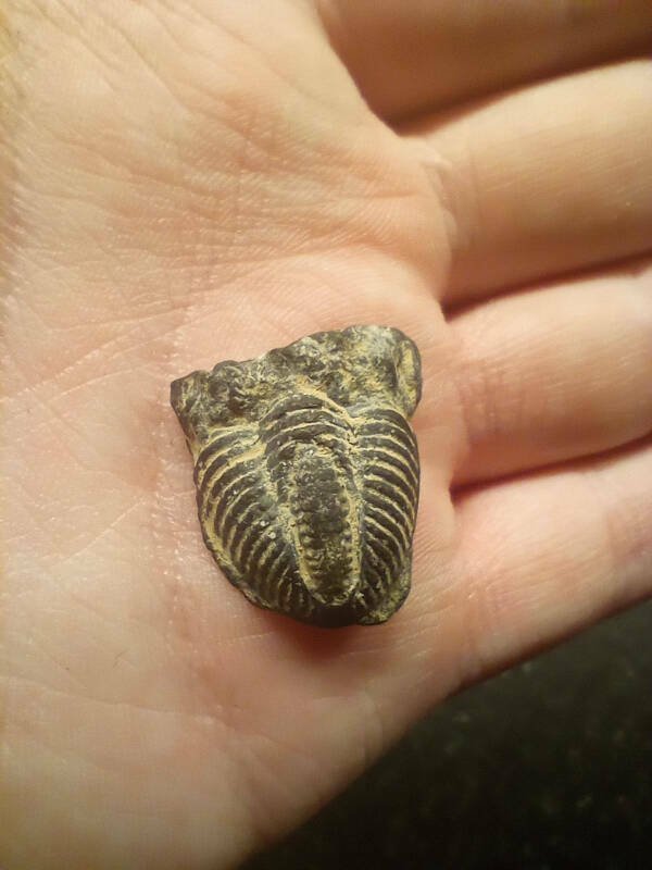 Interesting Finds (28 pics)