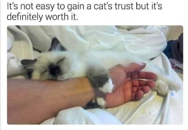 Funny Memes (34 pics)