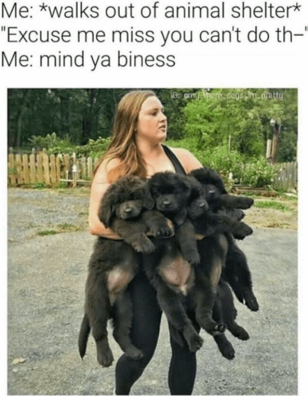 Funny Memes (34 pics)