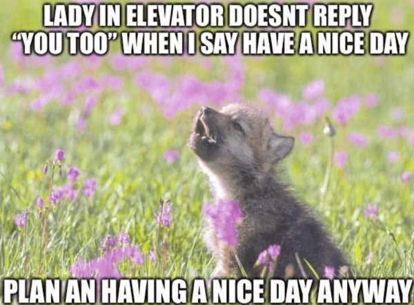 Funny Memes (34 pics)