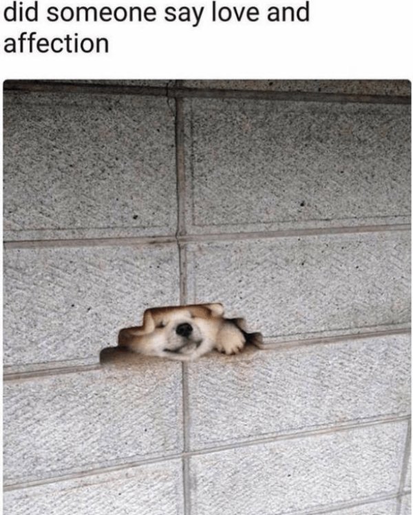 Funny Memes (34 pics)