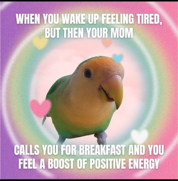 Funny Memes (34 pics)