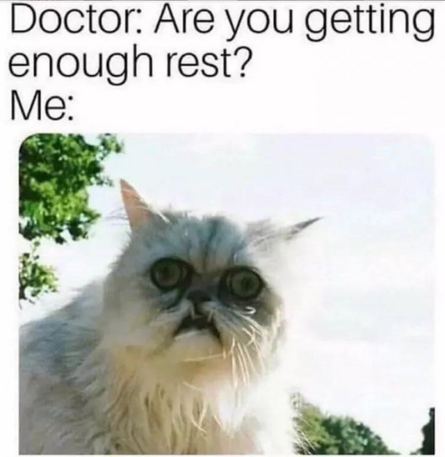 Insomnia Memes (20 pics)