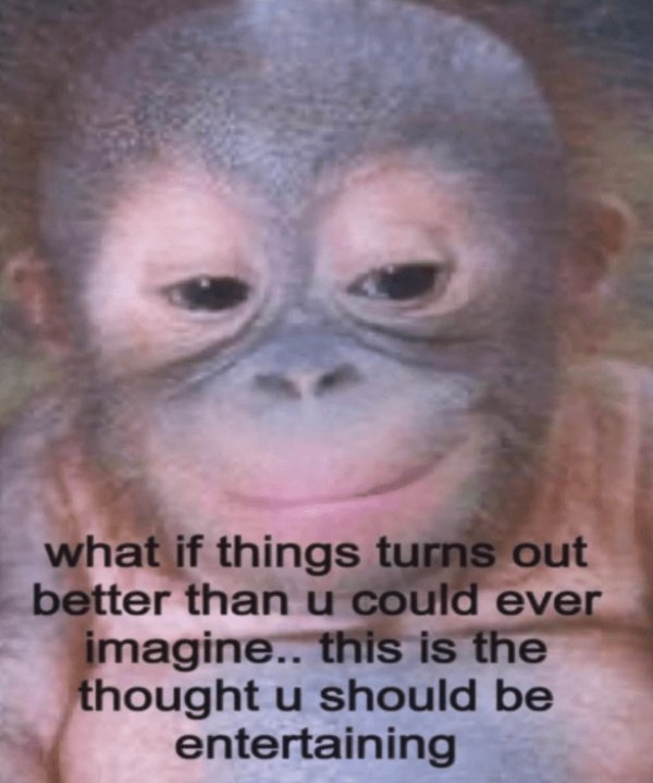 Funny Memes (34 pics)