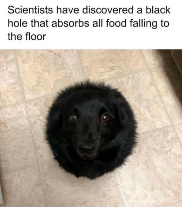 Funny Memes (34 pics)