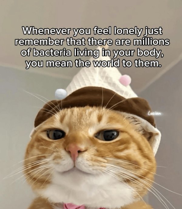 Funny Memes (34 pics)