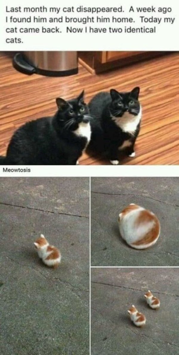 Funny Memes (34 pics)