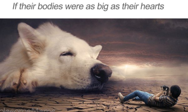Funny Memes (34 pics)