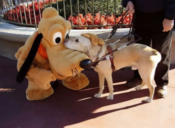 Funny Photos From Amusement Parks (29 pics)