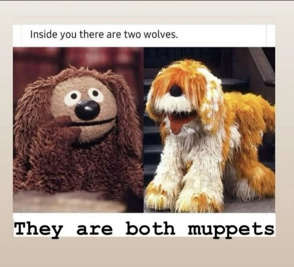 Funny Memes (22 pics)